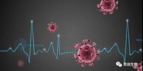 喜訊：凱創(chuàng)生物多款新冠抗原試劑均已獲CE準(zhǔn)入和出口白名單！