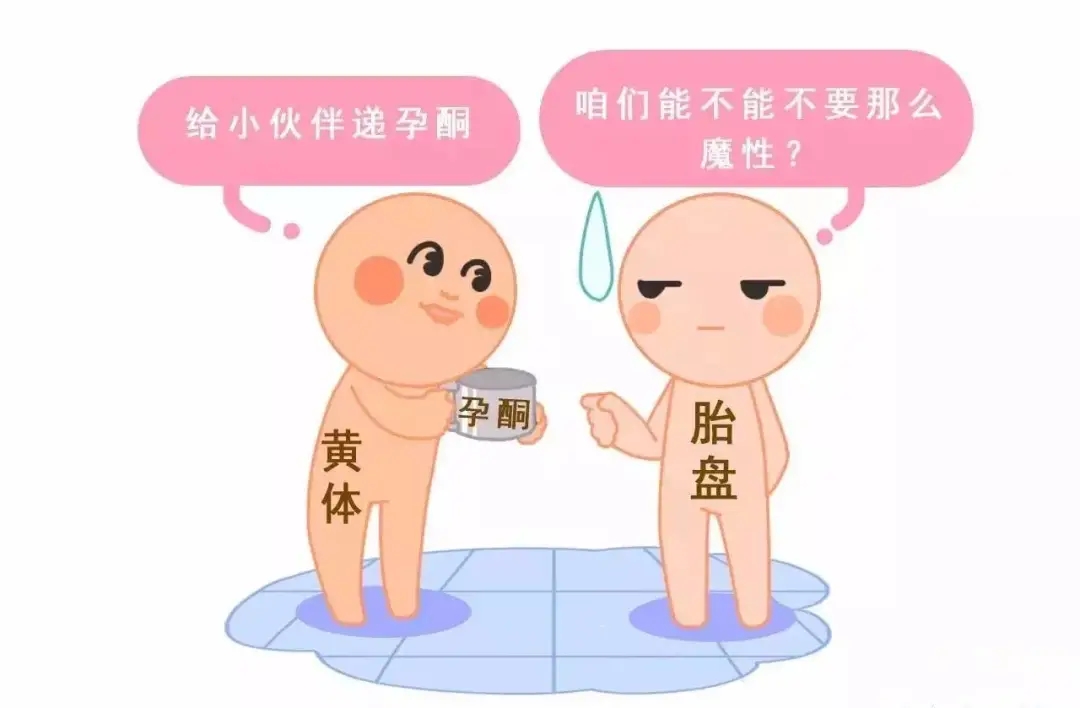 HCG和孕酮低一定會(huì)流產(chǎn)？備孕女性必須知道的孕早期“秘密”
