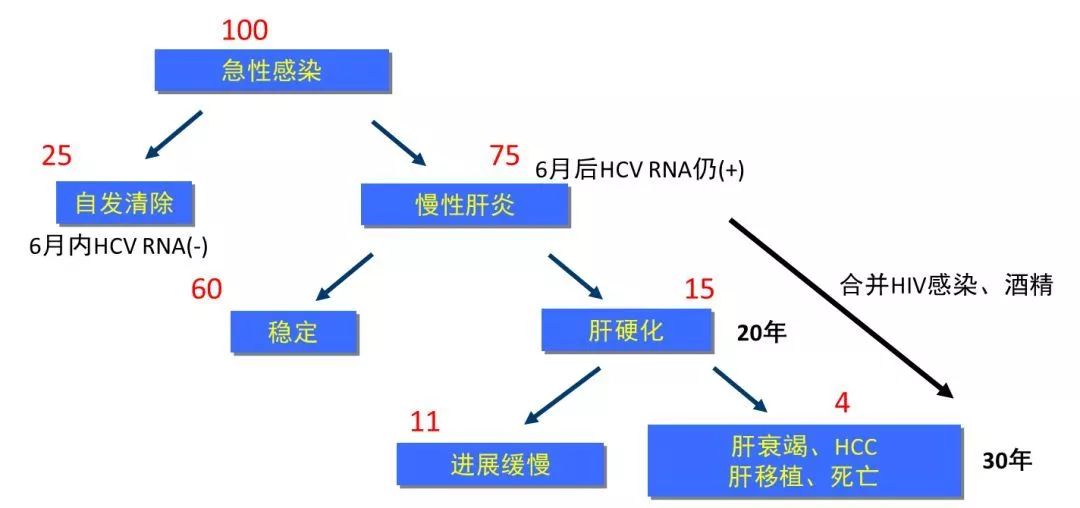 丙肝檢測(cè)的弱陽性究竟是不是感染了丙肝？