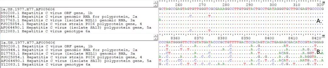 A.5’端非編碼區(qū)序列；B.NS5序列