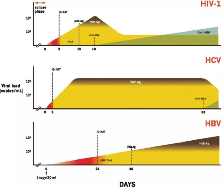 感染各標(biāo)志物檢測(cè)的“窗口期”示意圖
